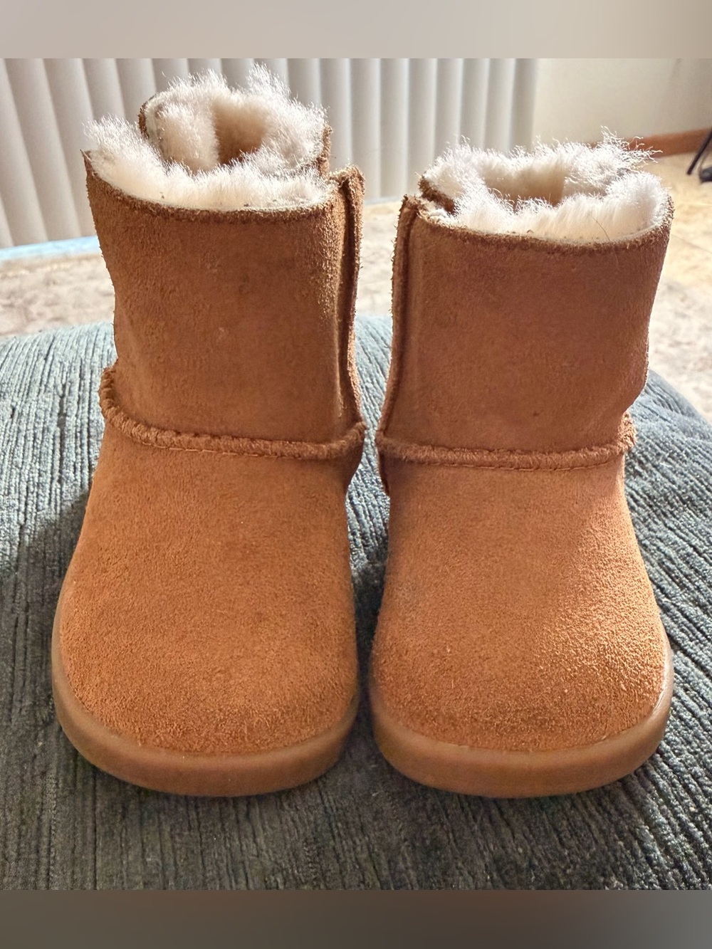 UGG Kids Chestnut Suede Short Boots